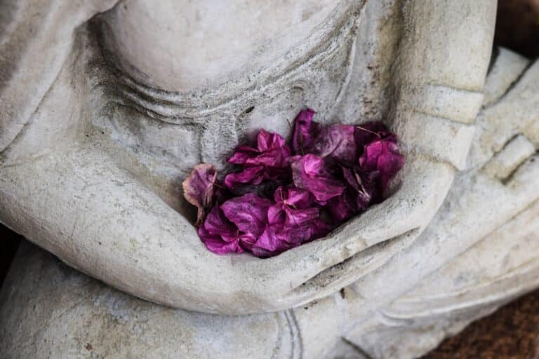 en Zen-Ochtendroutine voor een Kalmere Dag