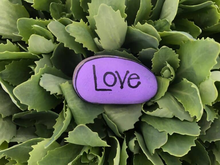 Photo "Letting Go with Love: The Power of Emotional Detox"