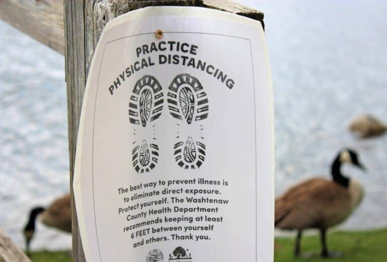 Photo "Walking with Attention: Meditative Movement in Nature"