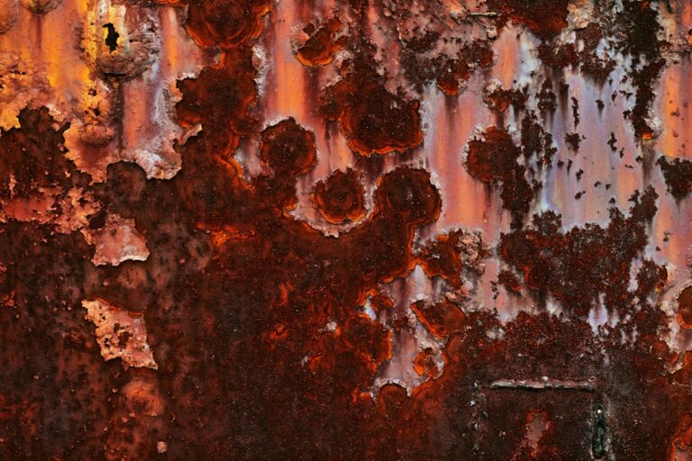 Photo Rust in Ritme